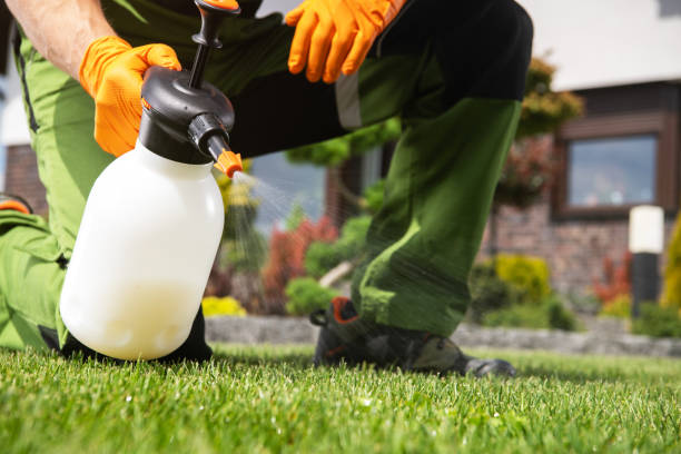 Best Flea Control Services  in , NH