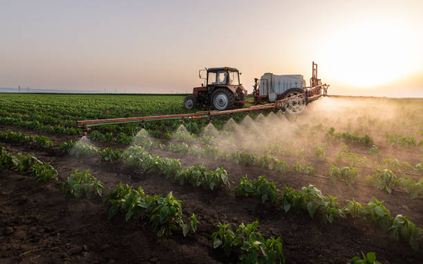 Best Mosquito Control Services  in , NH