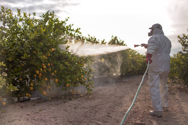 Best Cockroach Control Services  in , NH