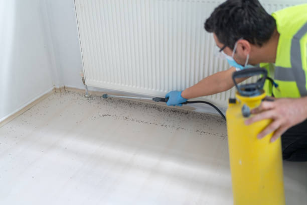 Best Best Pest Control Companies  in , NH