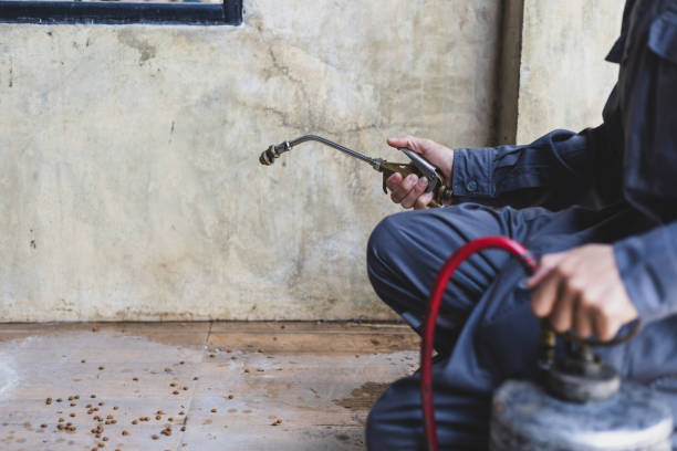 Best Affordable Pest Control Services  in , NH